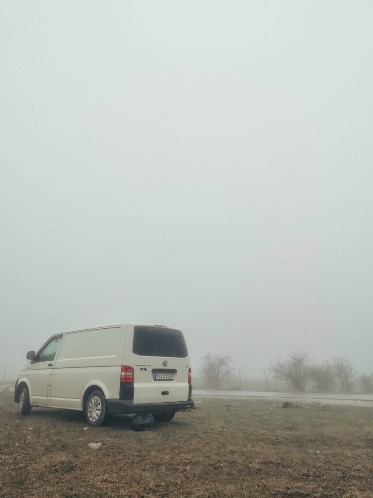 Otto von hinten auf einer Wiese und dichter Nebel 